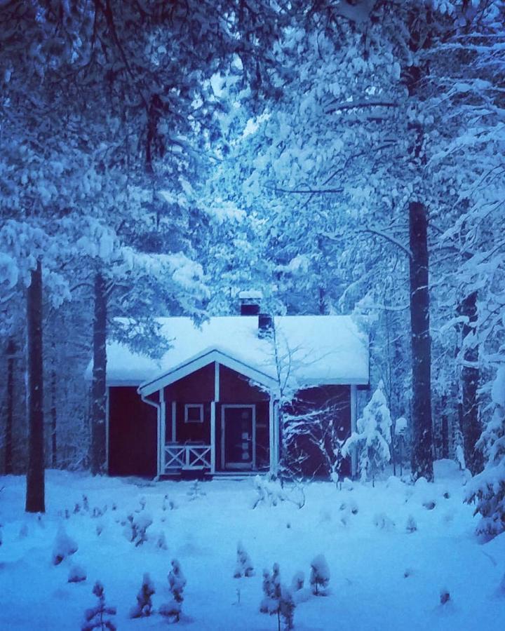 Maentymajat Villa Äkäslompolo Rom bilde
