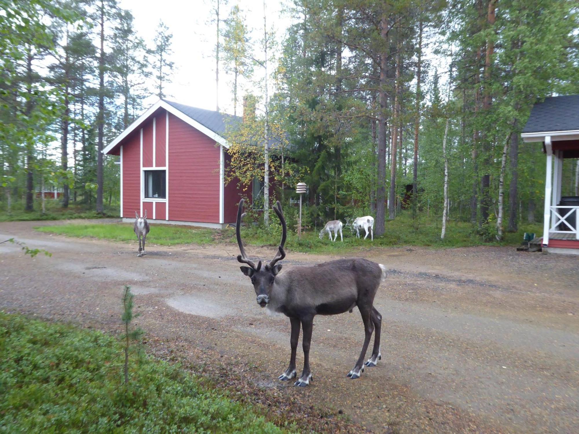 Maentymajat Villa Äkäslompolo Rom bilde